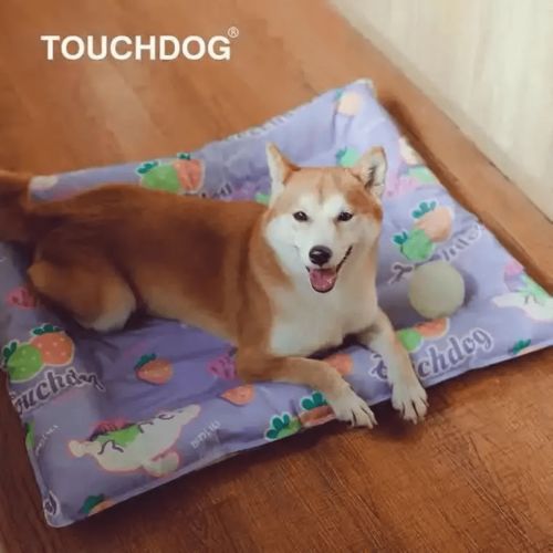 國(guó)際風(fēng)向標(biāo) 寵物用品配飾一片藍(lán)海,品牌紛紛入局